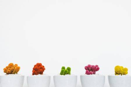Eggflow’s Shopify apps: Latest Updates
