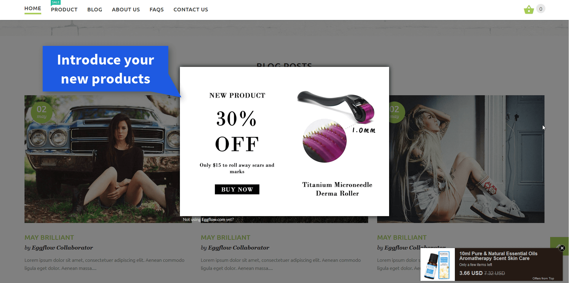 popup-introduce-new-product-black friday