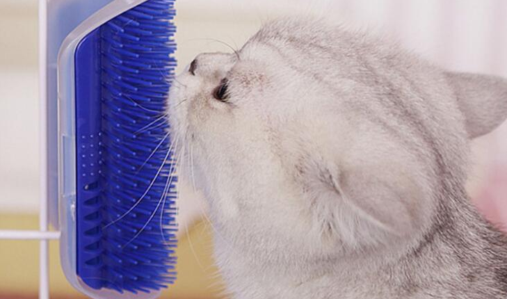 cat comb